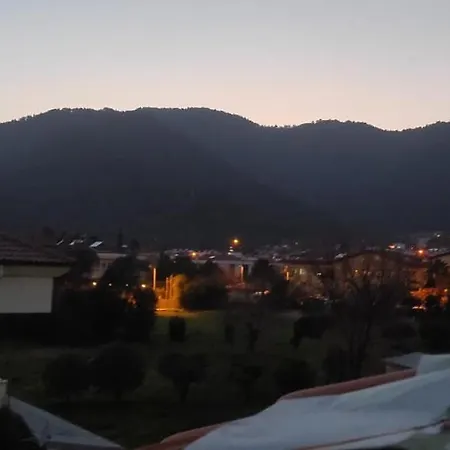 Filiziya *